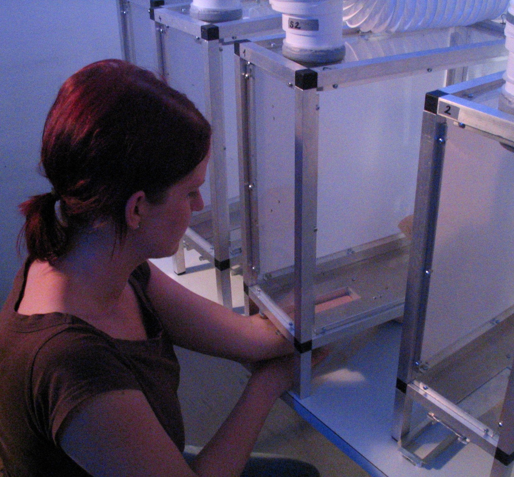 Anti-Mosquito Patches Produkt