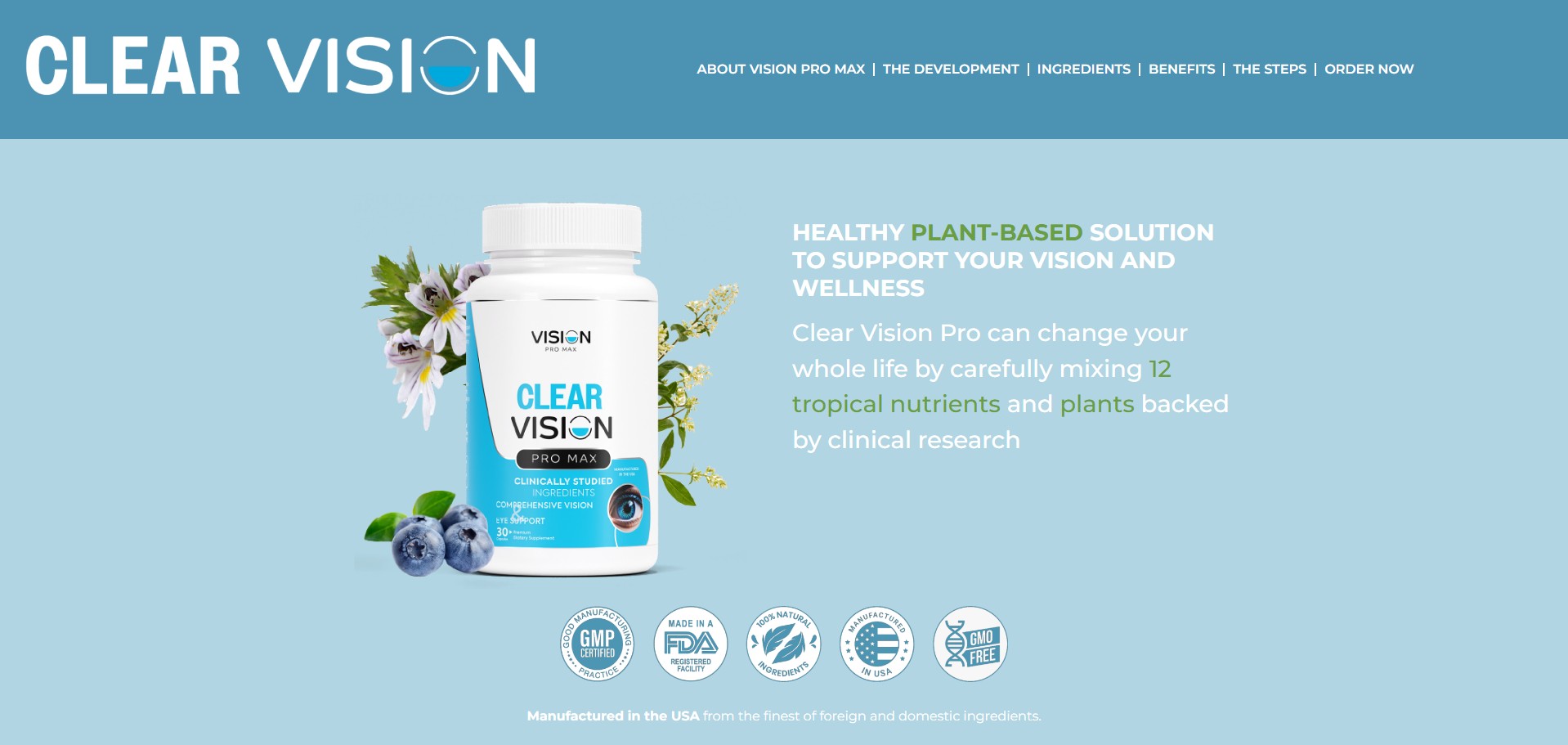 Clear Vision Pro Max