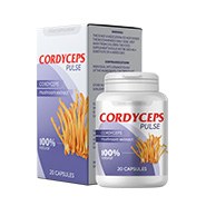 Cordyceps Pulse memory Produkt