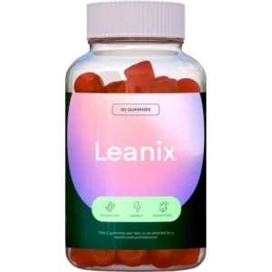 Leanix