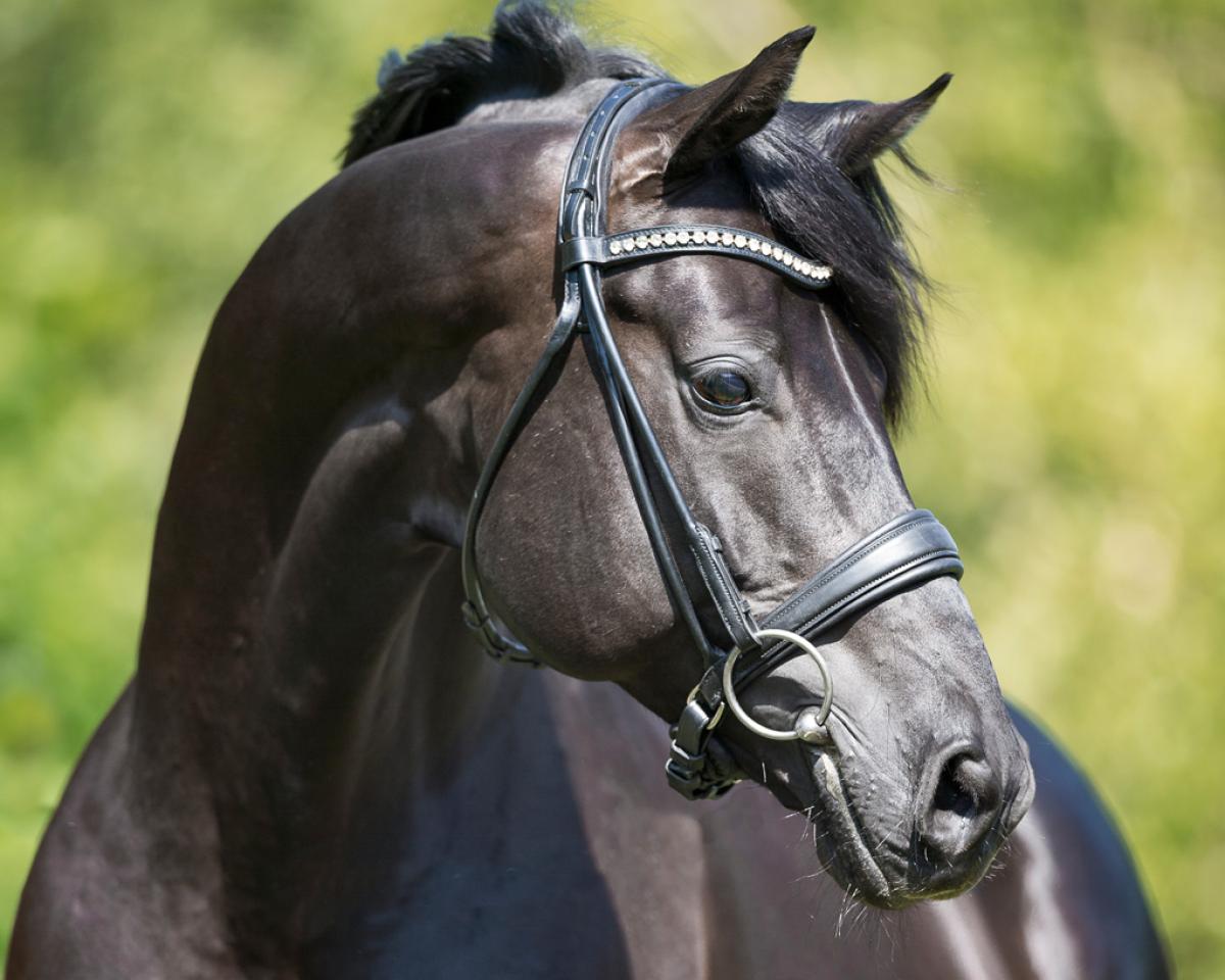 MAM Perfect Night Produkt