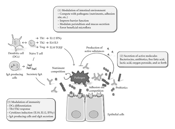 Vitality Plus Ultra Parasites Produkt